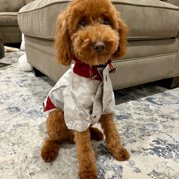 Reddy XS Weathershell - Picture 7 of 12